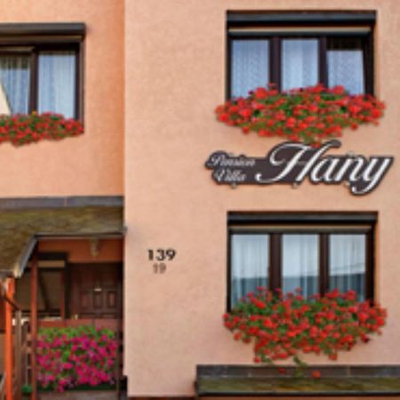 Pension Villa Hany Mariánské Lázně Eksteriør bilde