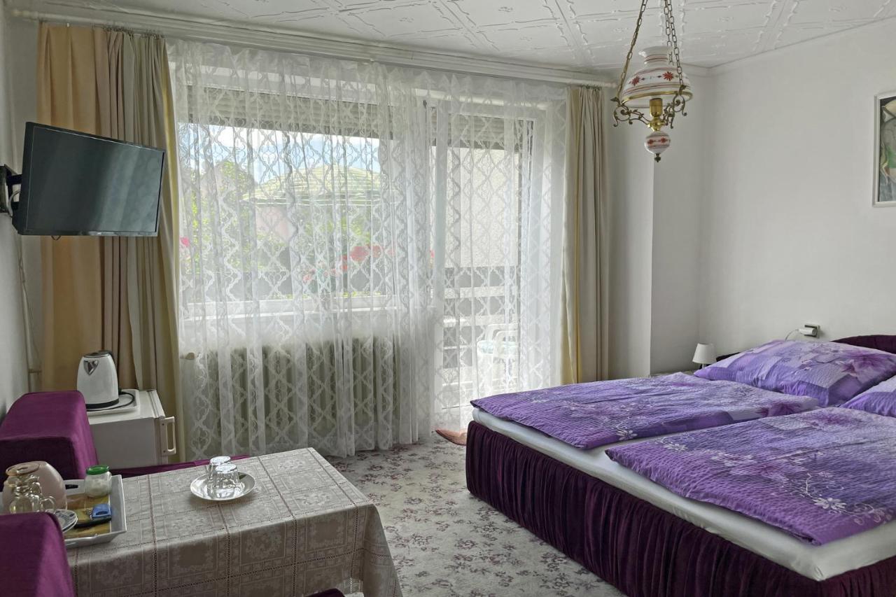 Pension Villa Hany Mariánské Lázně Eksteriør bilde