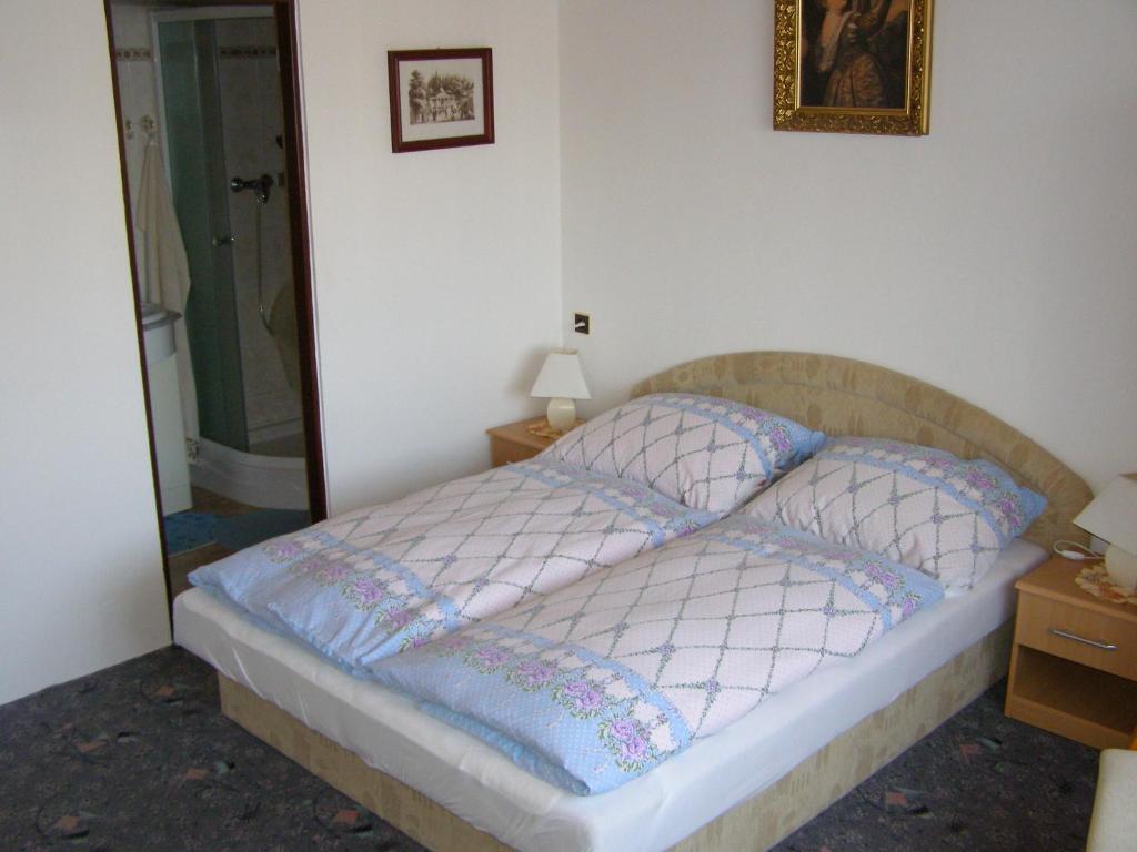 Pension Villa Hany Mariánské Lázně Rom bilde